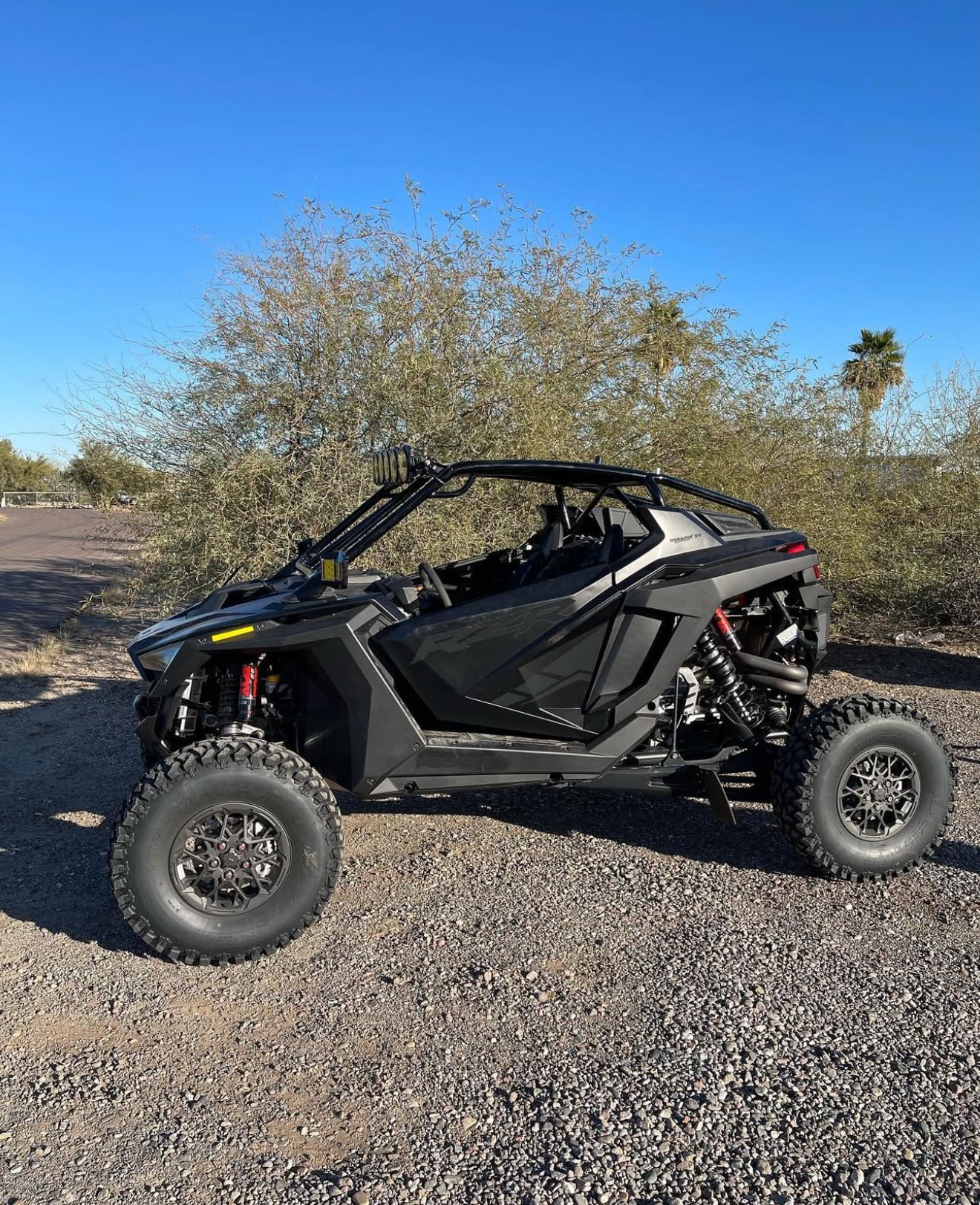 TOR Racing Polaris Pro Cage